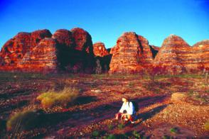 Bungles